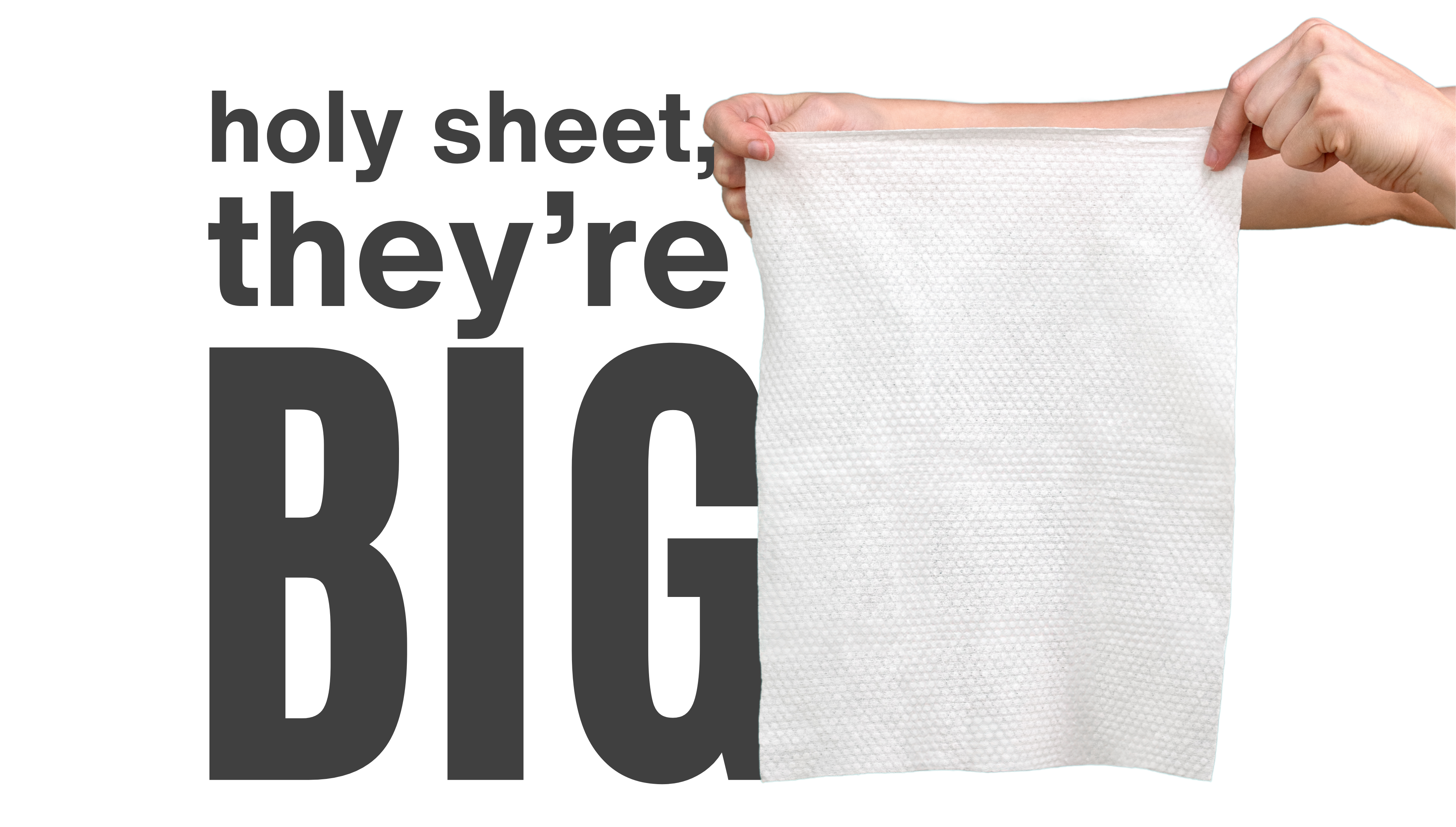 Holy Sheet
